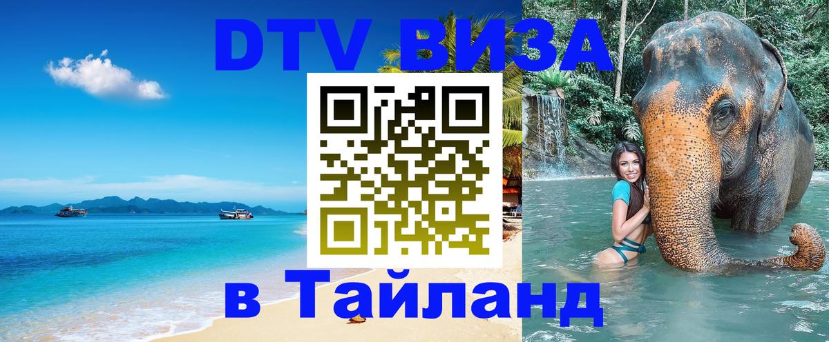 Оформление DTV визы под ключ: стоимость и тарифы, только загранпаспорт - 19.11.2025 